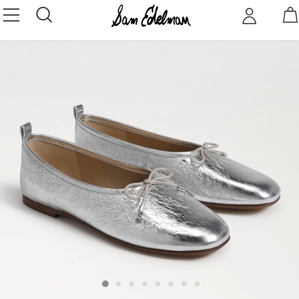 Sam Edelman Ari silver ballet flats